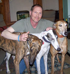 man with Greyhounds