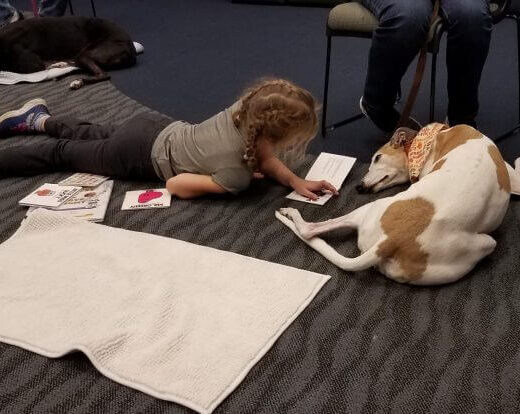 American Greyhound volunteers