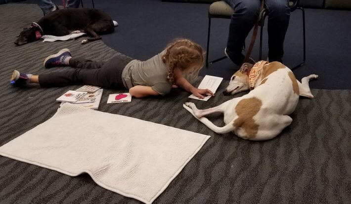 American Greyhound volunteers