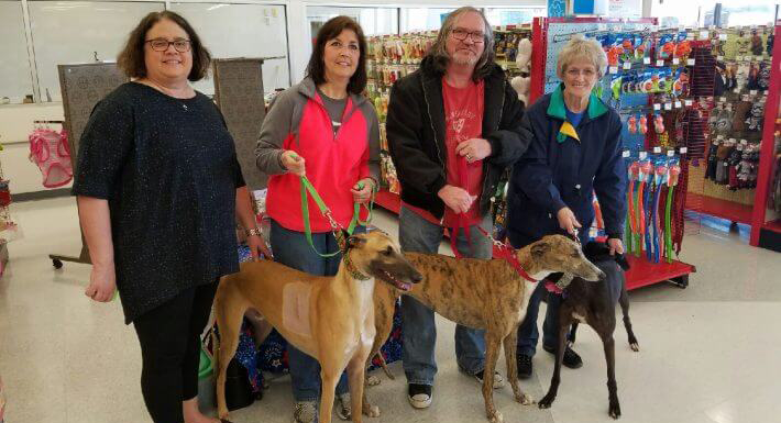 Greyhound Guardians
