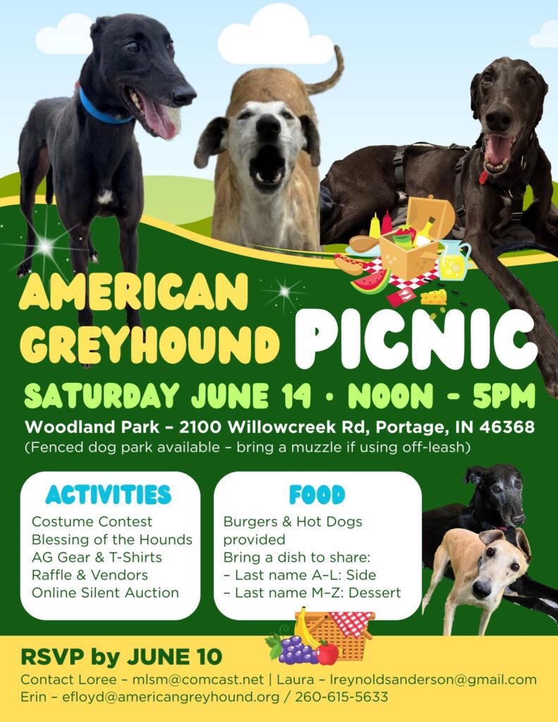 American Greyhound picnic