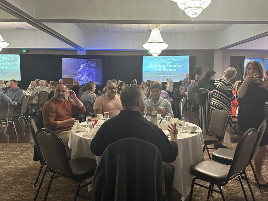 American Greyhound Benefit Gala